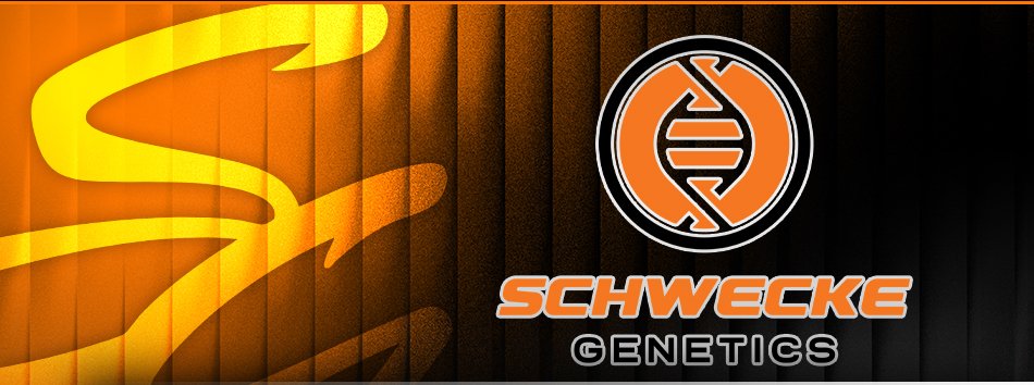 Schwecke Genetics